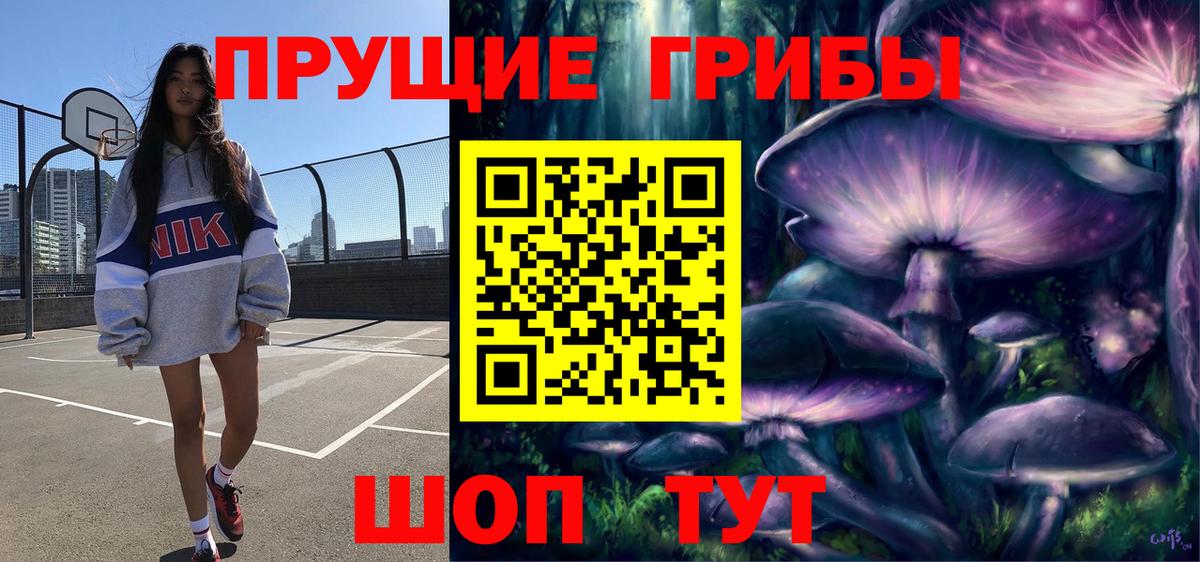 Псилоцибиновые грибы прущие грибы Сунжа