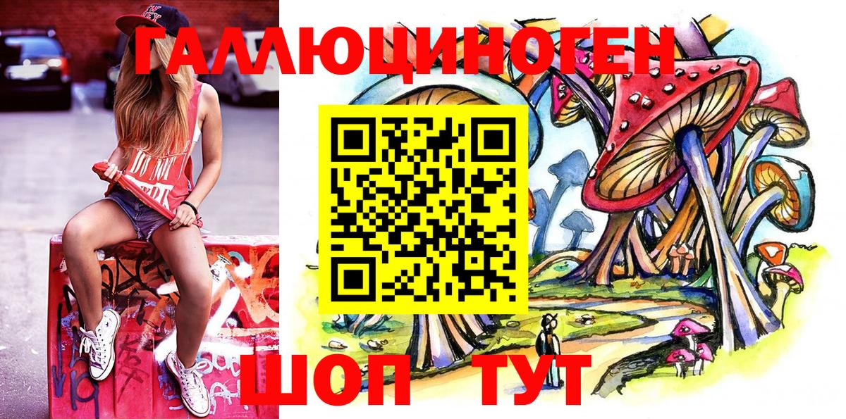 Псилоцибиновые грибы мицелий  Сунжа 