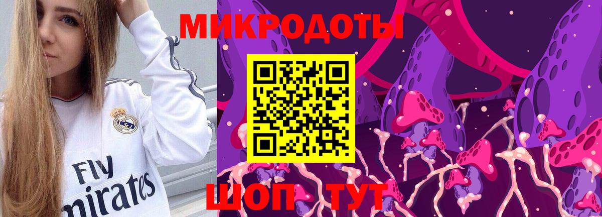 Сунжа  Псилоцибиновые грибы Cubensis  Вход с VPN 